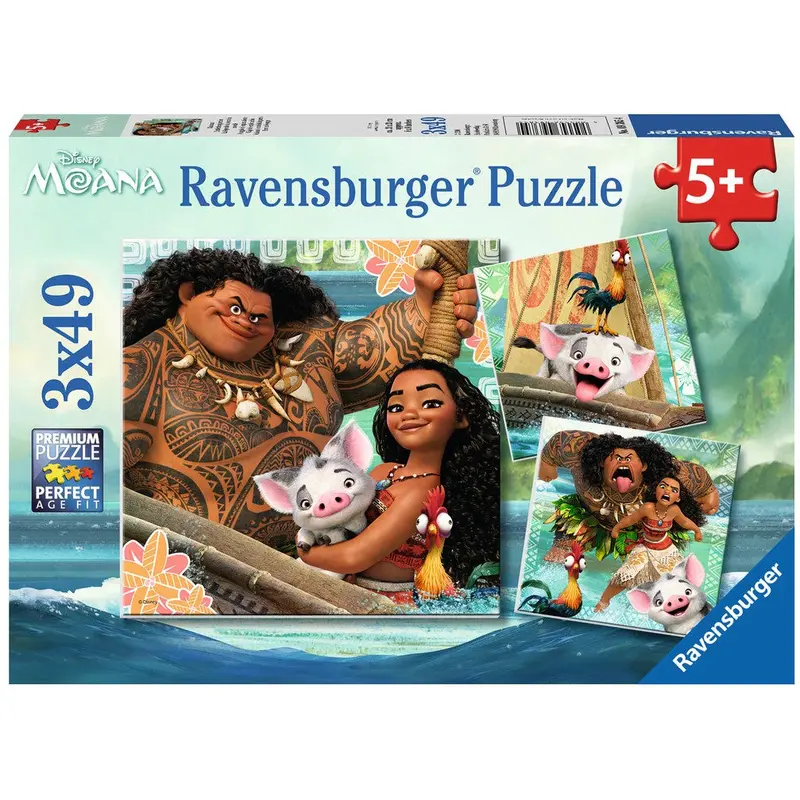 Born to Voyage 3 x 49 pc Puzzle