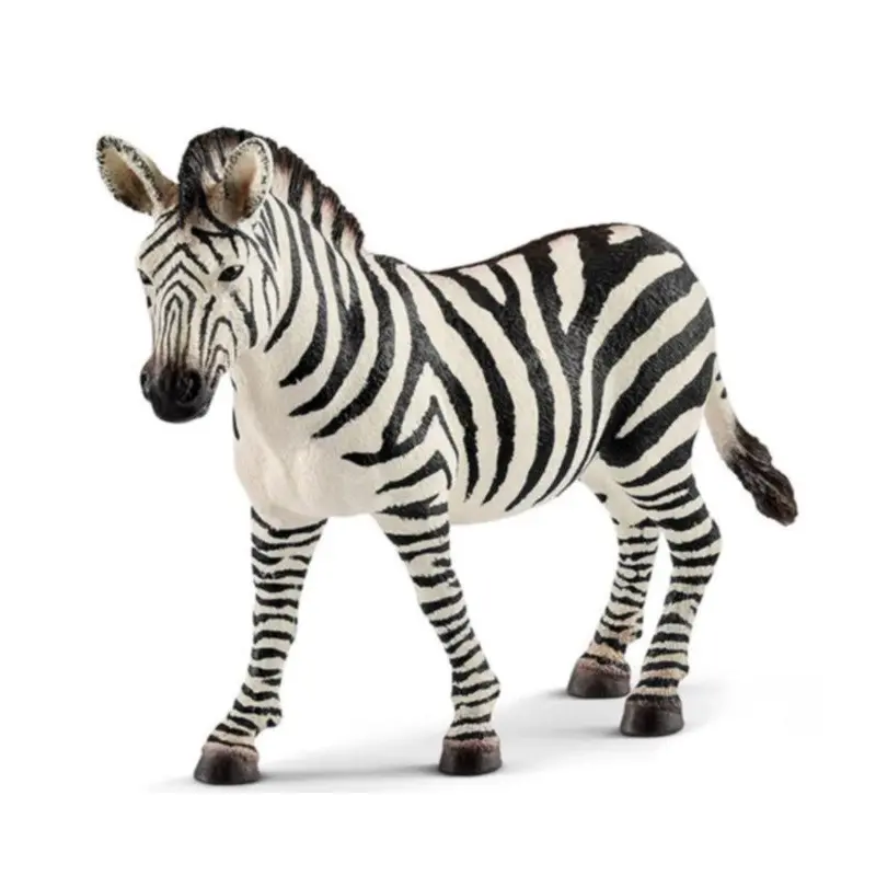 Zebra: Female