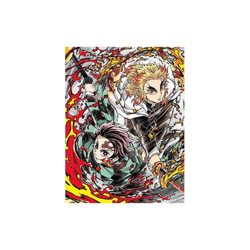 Demon Slayer -Kimetsu no Yaiba- Movie Mugen Train Limited Edition DVD JAPAN